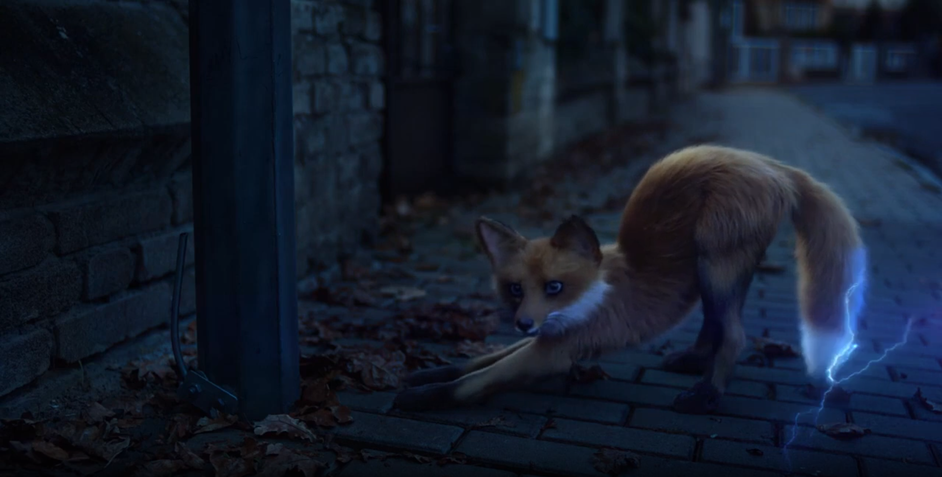 Fox